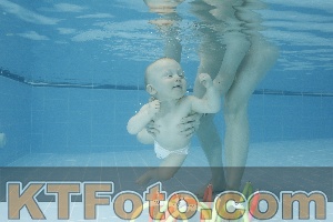 Photo 4304769