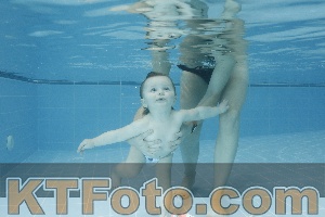 Photo 4304773