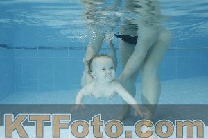 Photo 4304775
