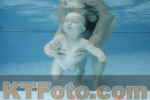 Photo 4304777
