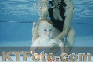 Photo 4304780