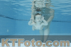 Photo 4304782