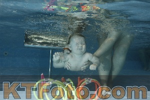 Photo 4304784
