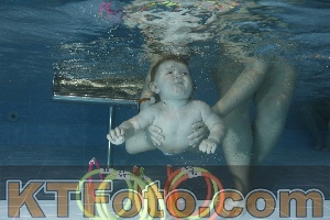 Photo 4304785