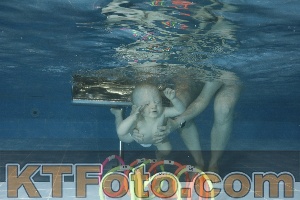 Photo 4304786