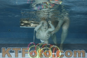 Photo 4304787