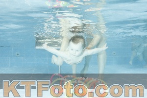 Photo 4304788