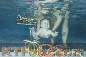 Photo 4304791