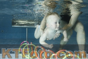 Photo 4304793