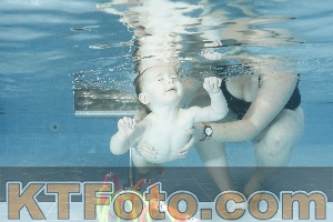 Photo 4304795