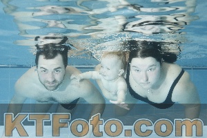 Photo 4304856