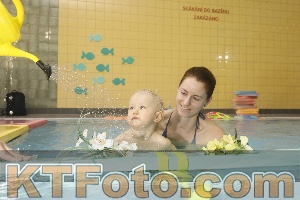 Photo 4304950