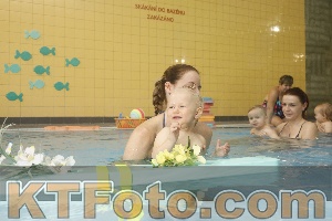 Photo 4304952