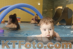 Photo 4304963