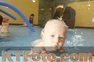 Photo 4304975