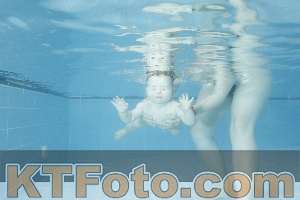 Photo 4305005