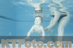 Photo 4305006
