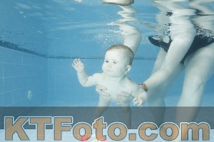 Photo 4305007