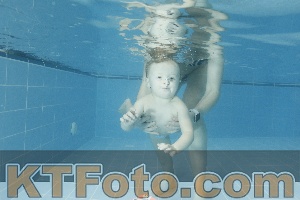 Photo 4305008