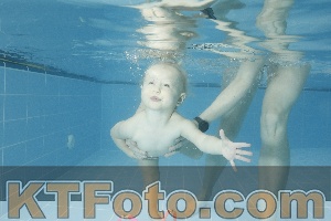 Photo 4305011