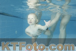 Photo 4305012