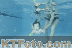 Photo 4305013
