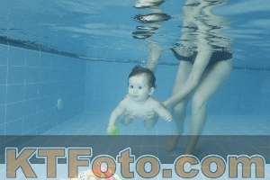 Photo 4305014