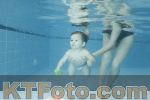 Photo 4305015