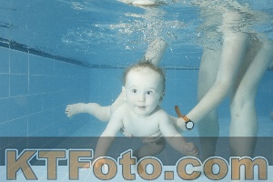 Photo 4305016