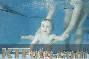 Photo 4305017