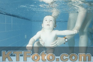Photo 4305018