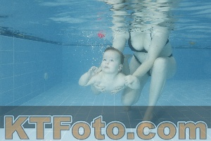 Photo 4305022