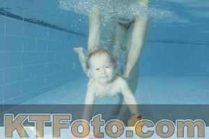 Photo 4305025