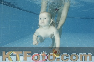 Photo 4305026