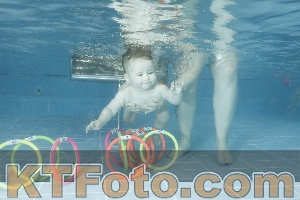 Photo 4305027
