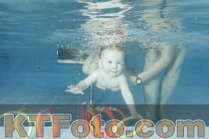 Photo 4305029