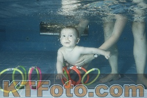 Photo 4305031