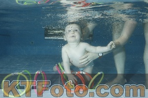Photo 4305032