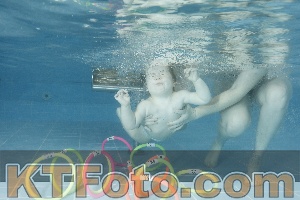 Photo 4305033