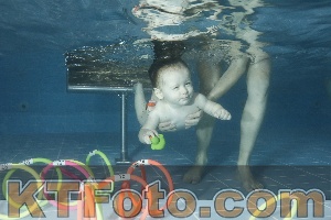 Photo 4305036