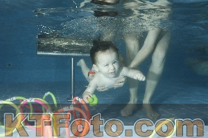 Photo 4305037