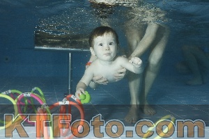 Photo 4305038