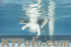 Photo 4305039