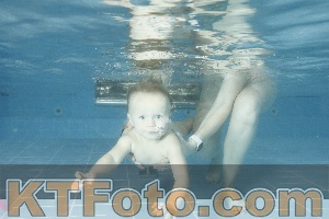 Photo 4305040