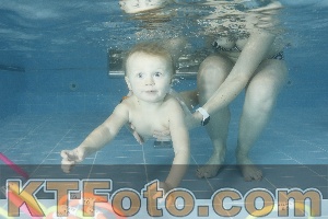 Photo 4305041