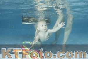 Photo 4305042