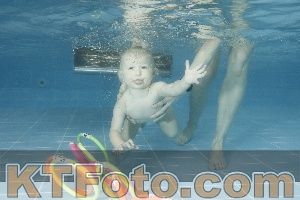 Photo 4305043
