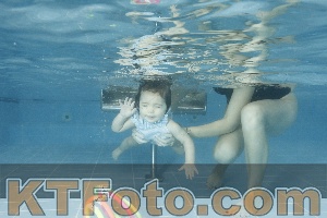 Photo 4305044