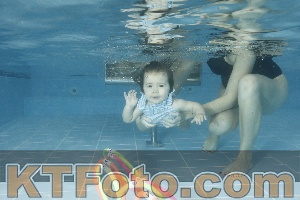 Photo 4305045