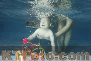 Photo 4305046